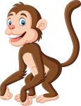 monkey olm
